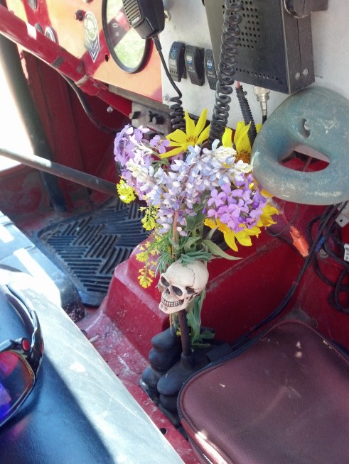 Wildflowers and the Jeep 